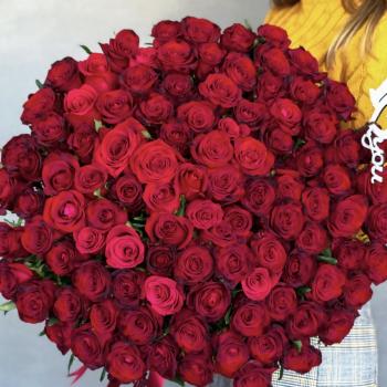 Букет 101 красная роза (LOVE)