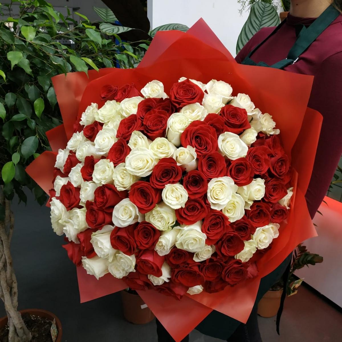 Букет из 101 розы (красные и белые розы) (код: 83741ebr)