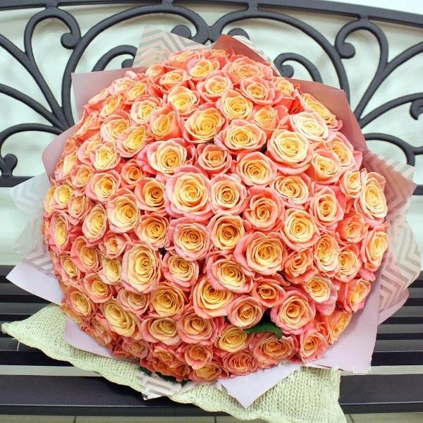 Оранжевые розы Эквадор 101 шт (50 см) №  146314ebr