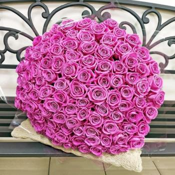 Розовые розы Эквадор 101 шт (50 см) [код товара: 146216]